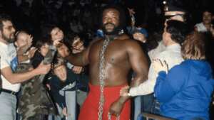 the junkyard dog