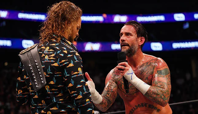 adam page cm punk