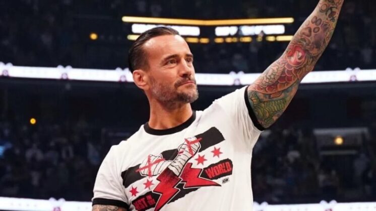 cm punk scaled