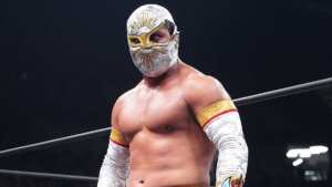 mistico scaled