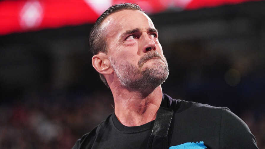 cm punk 4