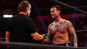 cm punk e sting