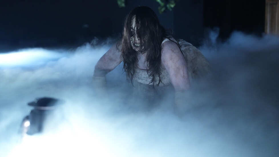 nikki cross