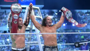 Jeff and Matt Hardy 555b